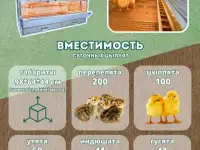 Продам брудер Профессионал 95-БР-1 Престиж на 100 цыплят, фотография 2