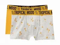 Трусы 2 шт. acoola