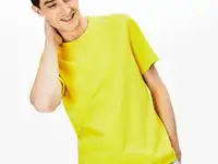 Мужская футболка lacoste slim fit