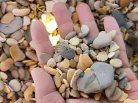 Мраморная крошка и галька. Камни для ландшафта, фотография 4