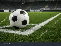 Искусственный газон, фотография 2