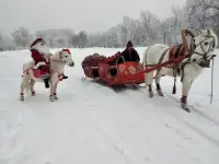 продам сани большие под лошадь, фотография 3