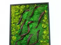Картины из стабилизированного мха, фотография 6