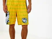 Шорты спортивные emdi