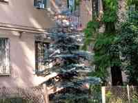 Продам квартиру, Илийский район, посёлок Отеген батыр, улица Лукина 3, фотография 8