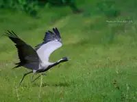 Фото и Видеосъёмка, фотография 12