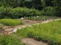 Дача 15 соток, Алматинская область, Талгарский район, с.о. Кендалинский, с. Кендала, с/т Медик-, фотография 9