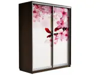 Шкаф купе из темного дерева с стеклянным фасадом в виде вишневой сакуры бу