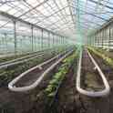 Теплицы на любой вкус, фотография 4