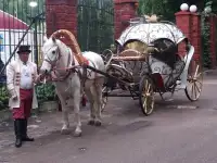 аренда кареты, фотография 9