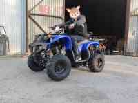 Квадроциклы 50,110,125,250сс, фотография 11