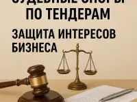 Юрист по тендерам и судебным спорам  защита интересов бизнеса., фотография 2