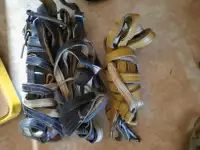 Жүген,ноқта, құлақбау, құйысқан , өмілдірік, фотография 2