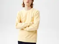 Мужская толстовка lacoste