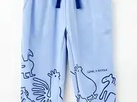 Брюки спортивные acoola