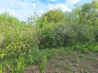 продаю дачу р-он Сабурханской ЦОФ, ДО Энтузиаст, фотография 6