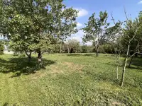 Продам большой дом с двумя входами отдельно и 24 сотки земли, фотография 10