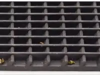 Ковер дражный