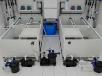 Передержка узв аквариум для морепродуктов, фотография 2