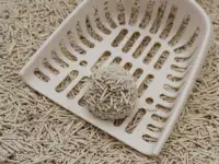 Комкующий наполнитель для кошек Тофу С Ароматами Зеленное яблоко, Вишня, Ваниль, Клубника, Нейтральный, фотография 3