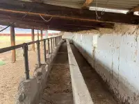 Фазенда, фотография 10