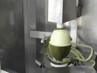 Машина для очистки от кожуры ананаса, дыни, арбузов, тыквы, фотография 3