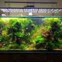 Аквариум под ключ на 865 литров, фотография 2