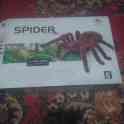 Продам паука на пульте управления, фотография 3