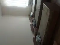 Сдам посуточно, 3Бмкр., зд.51, фотография 3