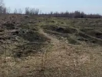 продажа земли КХ под фермерское хозяйство, Алматинская обл, пос Еламан, фотография 1