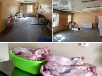 Комплекс оборудования по выращиванию кроликов, переработке продукции кролиководства, фотография 3