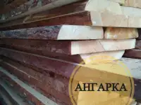 Лиственница ангарская сухая