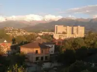 Спил деревьев по городу Алматы и Алматинской области, фотография 8