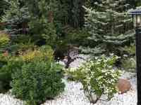 Галечник белый круглый камень в мешках по 20 кг, фотография 6