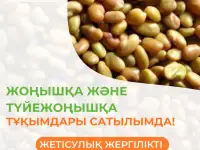 Компанияны негзг ндылыы  ондаан жылдар бойы жинаталан ерекше блм мен тжрибе, сапалы нм ндруде, фотография 6