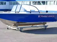 Купить лодку (катер) Wyatboat-430 DCM NEW в наличии