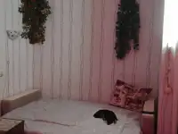 полуторка, Геологическая 10, фотография 8