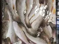 Рыба св.мороженная во Владивостоке., фотография 4