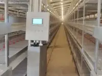 Оборудование  Big Dutchman для птицефабрики по выращиванию птиц из Китайского производителя , дешево и качественно!, фотография 7