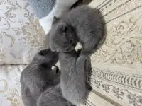 pavlenko100495icloud.com, фотография 7