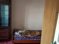 Сдам в аренду однакомнатную, Центр.Талдыкорган., фотография 5