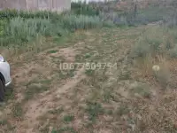 Продам участок, Посёлок Абай Алматинской области, фотография 2