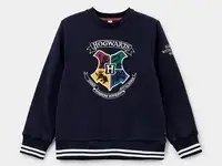 Свитшот playtoday