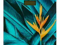 Весы напольные sunwind ssb055 рисунок