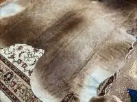 шкуры коровы, фотография 2