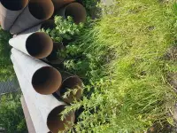 трубы бу 325,426  дешево