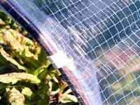 Пленка.Армированная пленка.Пленка для парника,теплиц.Пленка для укрытия строительных лесов,фасадов., фотография 7