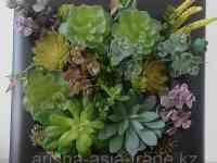 Настенный декор - Картина., фотография 2