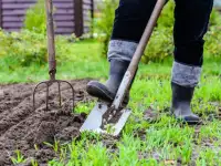 Требуется рабочий