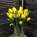 Тюльпаны оптом, фотография 3